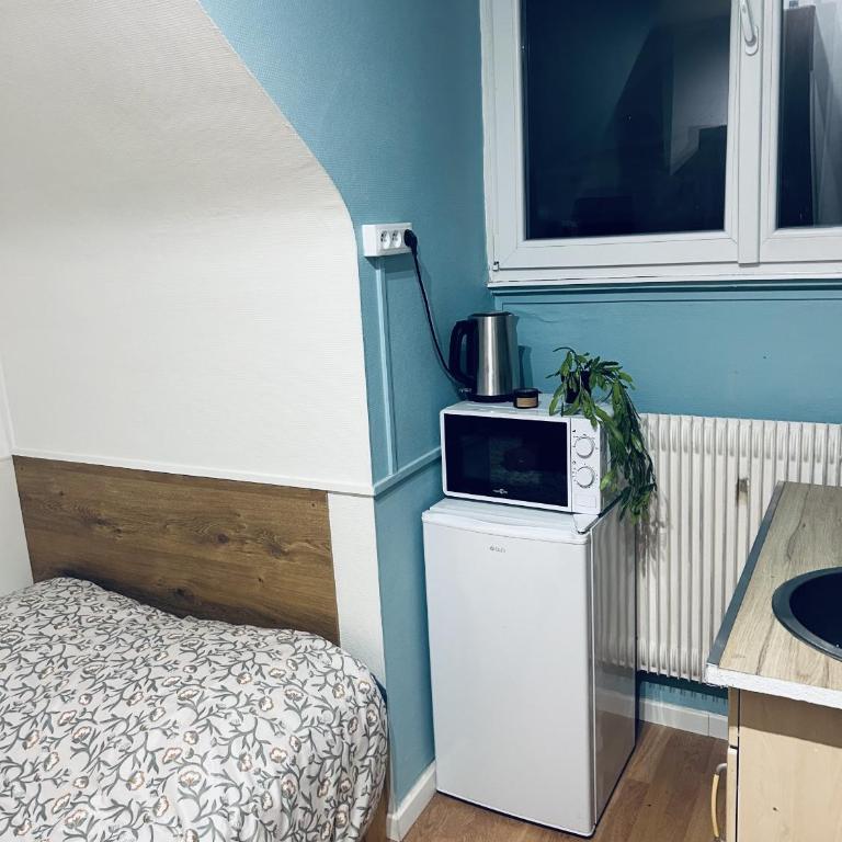Le petit bien a strasbourg centre - Appartamento con 1 Camera da Letto - 6