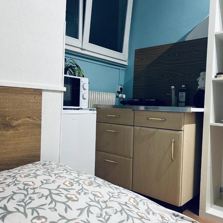 Le petit bien a strasbourg centre - Appartamento con 1 Camera da Letto - 8