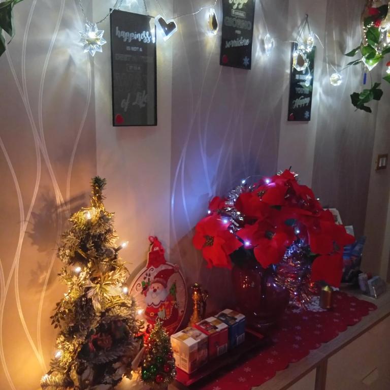 La Casa di Sonia - Camera Matrimoniale con Bagno Privato - 9