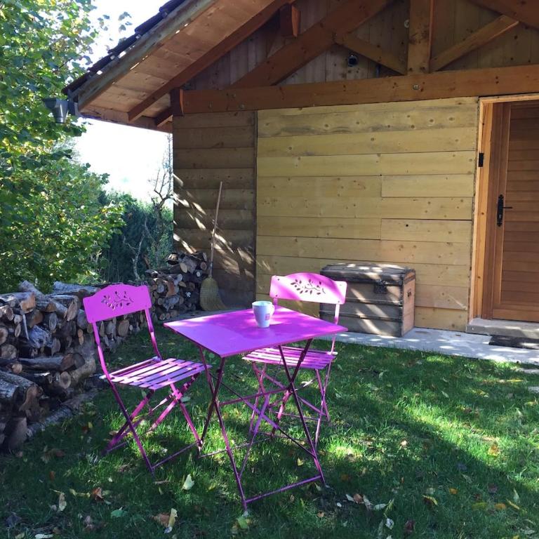 Chalet la Cabane d'Ernestine - Chalet - 45