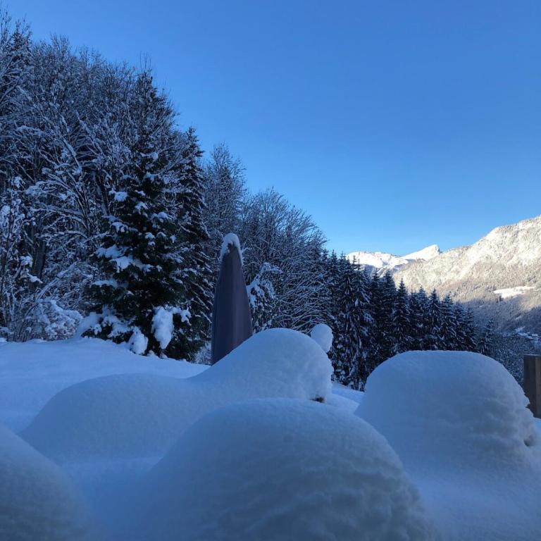 Chalet la Cabane d'Ernestine - Chalet - 47