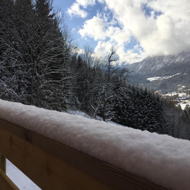 Chalet la Cabane d'Ernestine - Chalet - 48