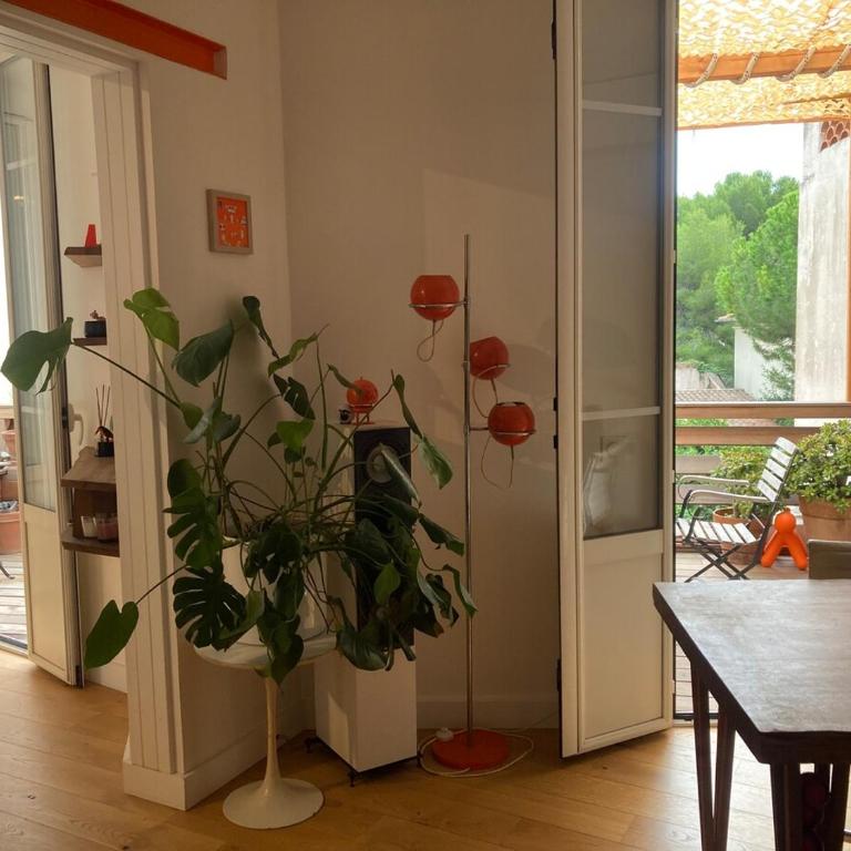 Unique Apartment with Cat in Cap dAntibes - Appartement 2 Chambres - 28