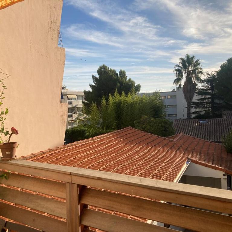 Unique Apartment with Cat in Cap dAntibes - Appartement 2 Chambres - 55