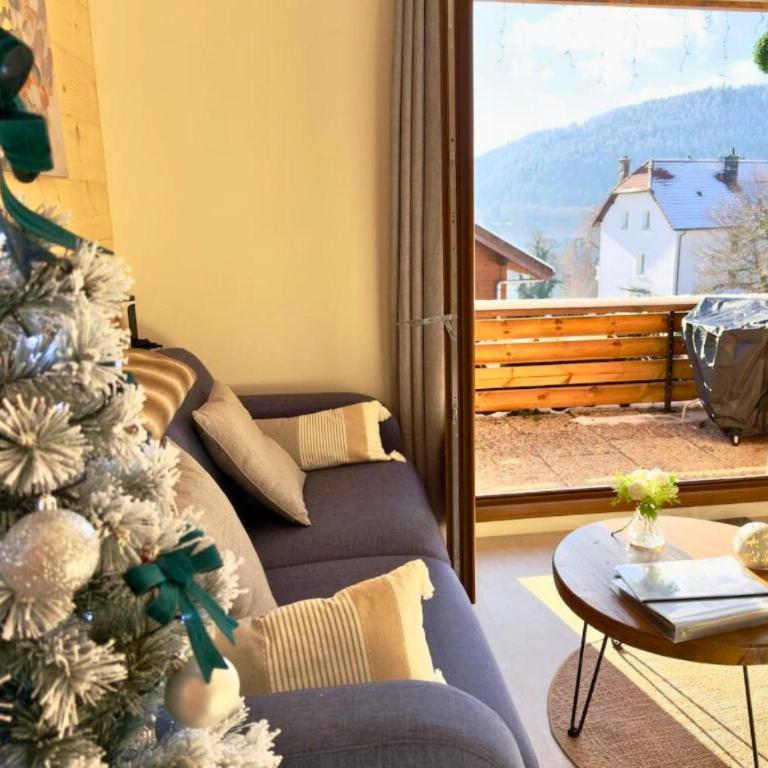 Le Cocon du Lac, terrasse, vue lac - Appartement 1 Chambre - 2