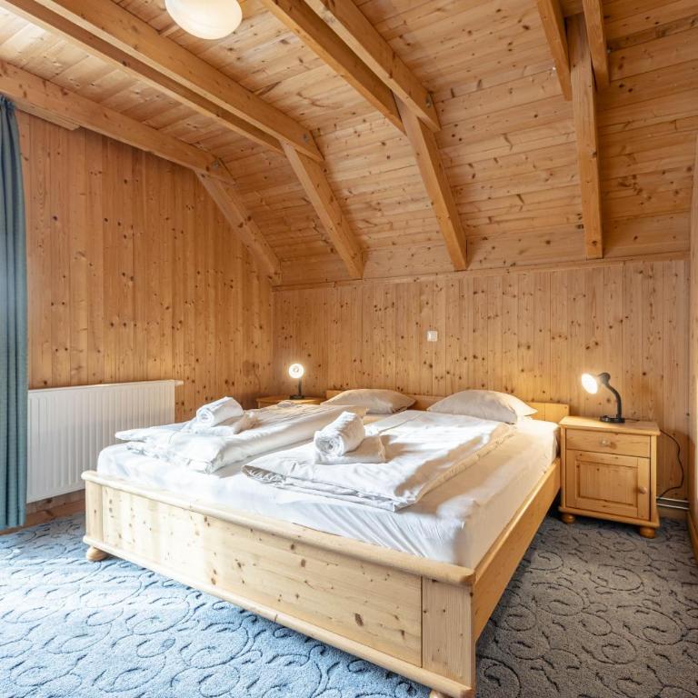 FerienPark Kreischberg Ferienhäuser by ALPS RESORTS - Three-Bedroom Holiday Home 5 - 5