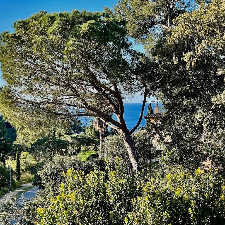 Casa Aries - Kerstin Bruns - Casa de 2 dormitorios - 16