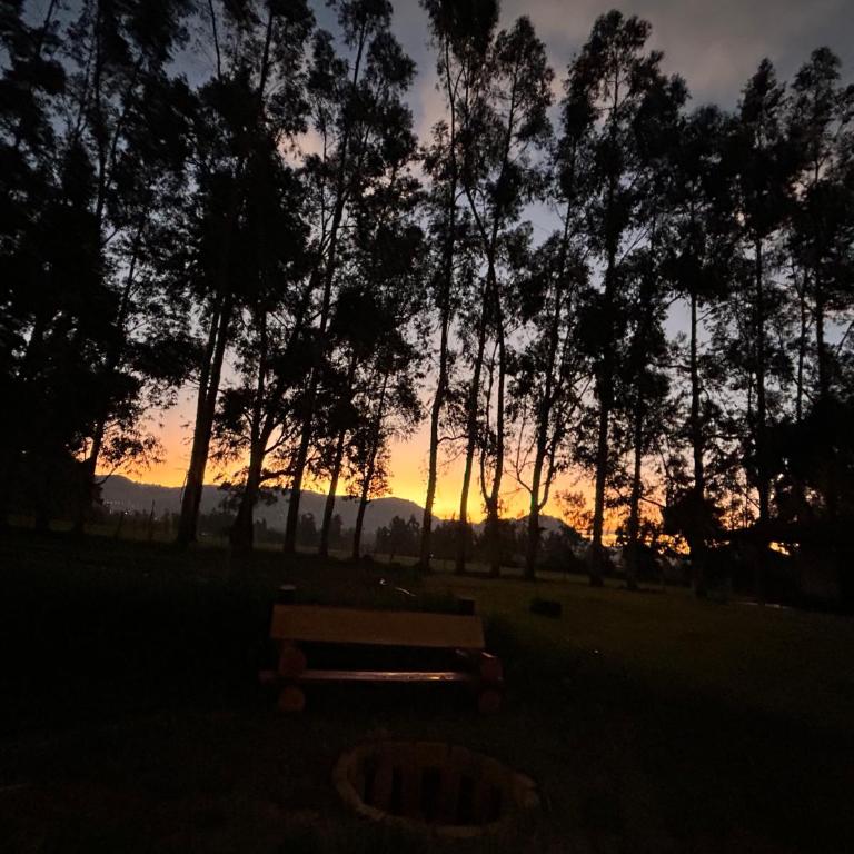Alojamiento en Cajamarca Cabañas a 10 min del centro - Casa de 2 dormitorios - 4