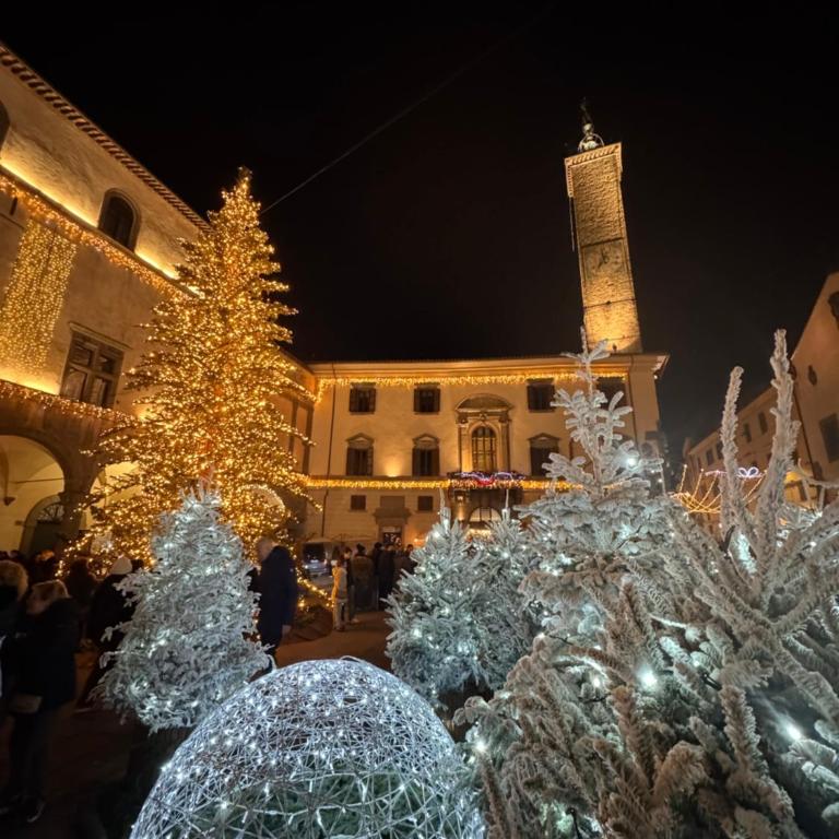 Antica Residenza del Corso Viterbo appartamento Vittorio Emanuele - centro storico - Appartamento con 1 Camera da Letto - 3