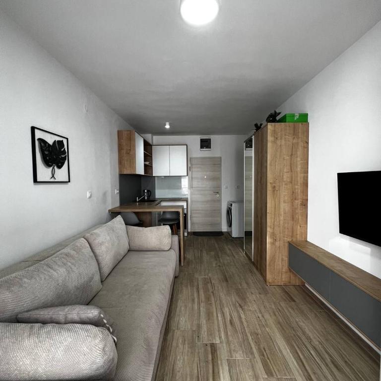 Apartment Montenegro Becici - One-Bedroom Apartment - 9