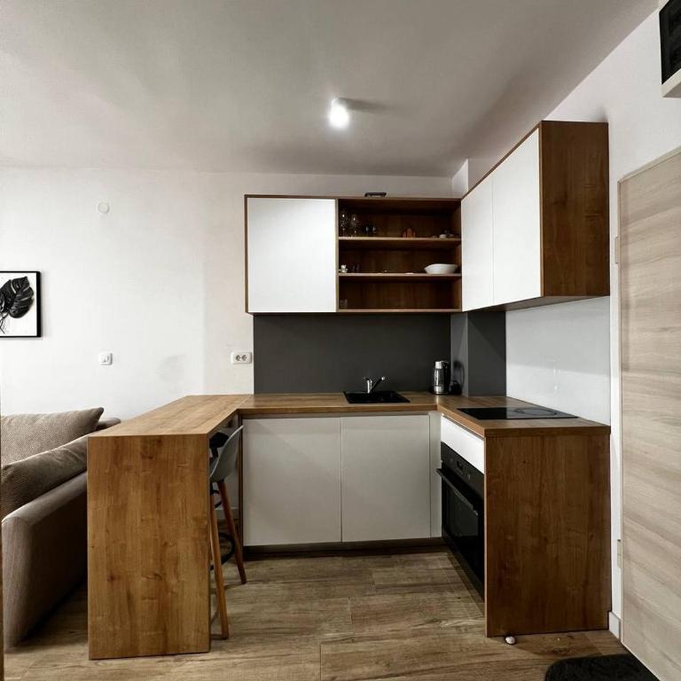 Apartment Montenegro Becici - One-Bedroom Apartment - 12