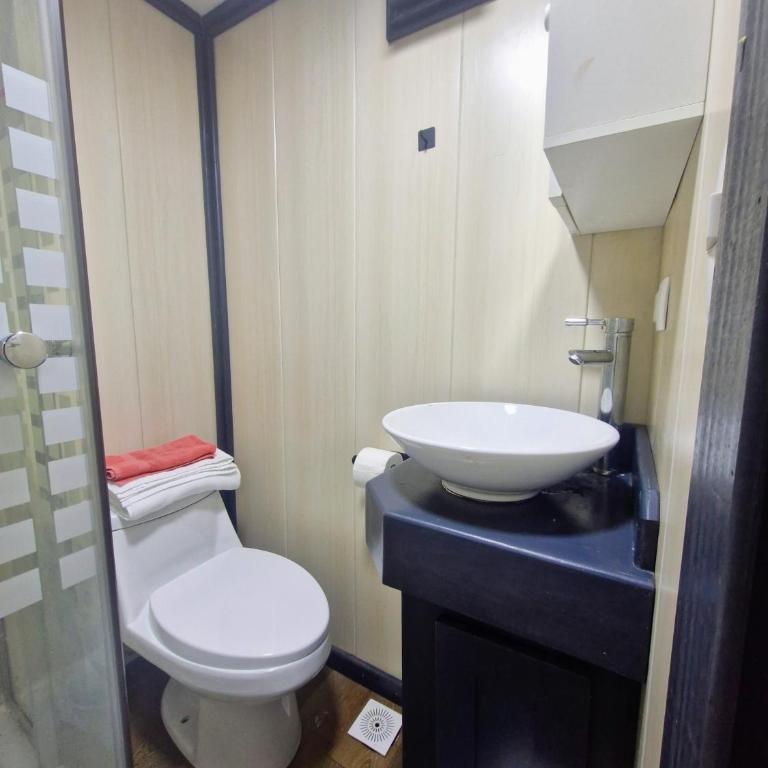 Wildepartamentos Valdivia TM - One-Bedroom Apartment - 4