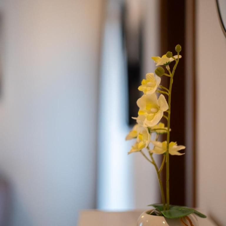 Lamadu Residence - Apartman s 1 Spavaćom Sobom i Balkonom - 10