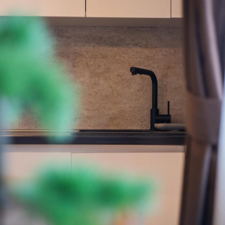 Lamadu Residence - Apartman s 1 Spavaćom Sobom i Balkonom - 4