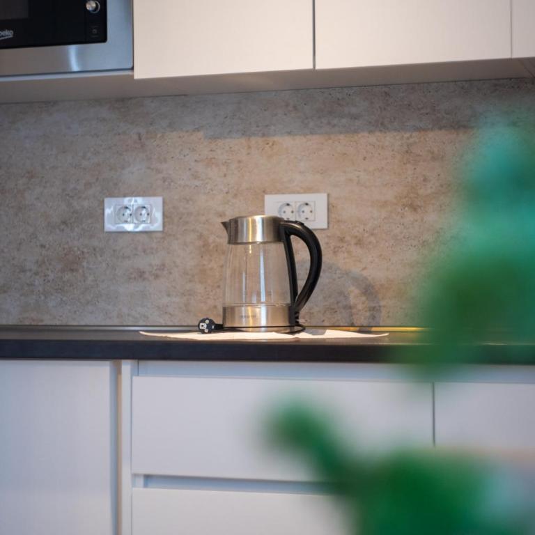 Lamadu Residence - Apartman s 1 Spavaćom Sobom i Balkonom - 6
