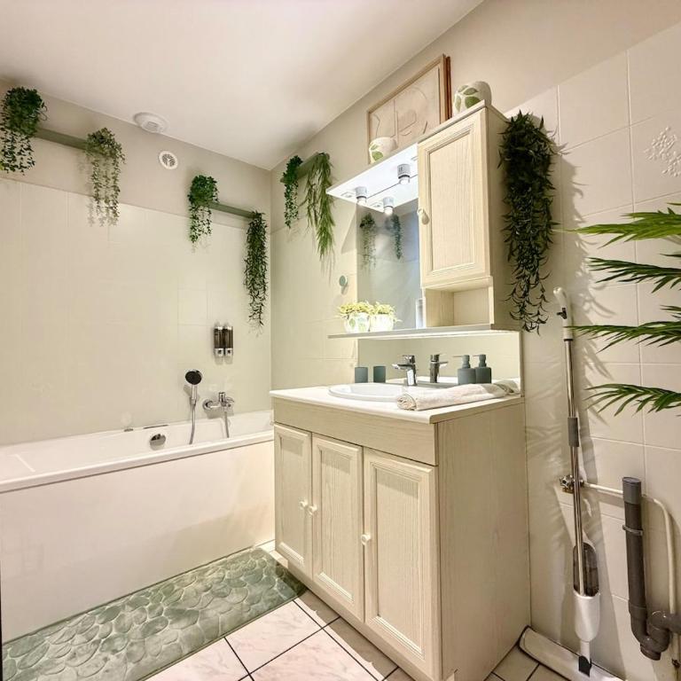 Serena, Cocon Familial, Balnéo - Appartement 2 Chambres - 16