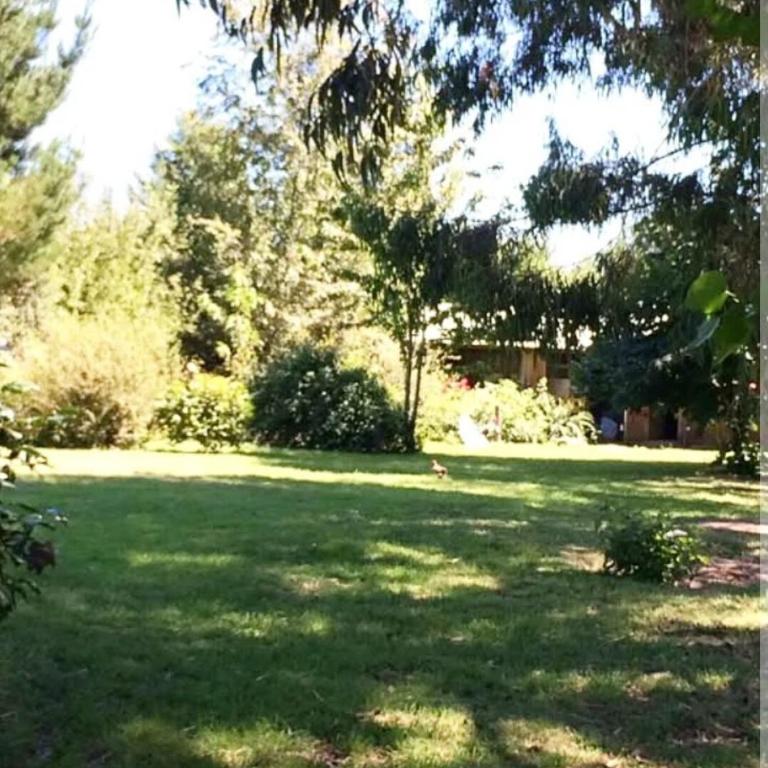Relajo en plena naturaleza - Three-Bedroom Apartment - 4