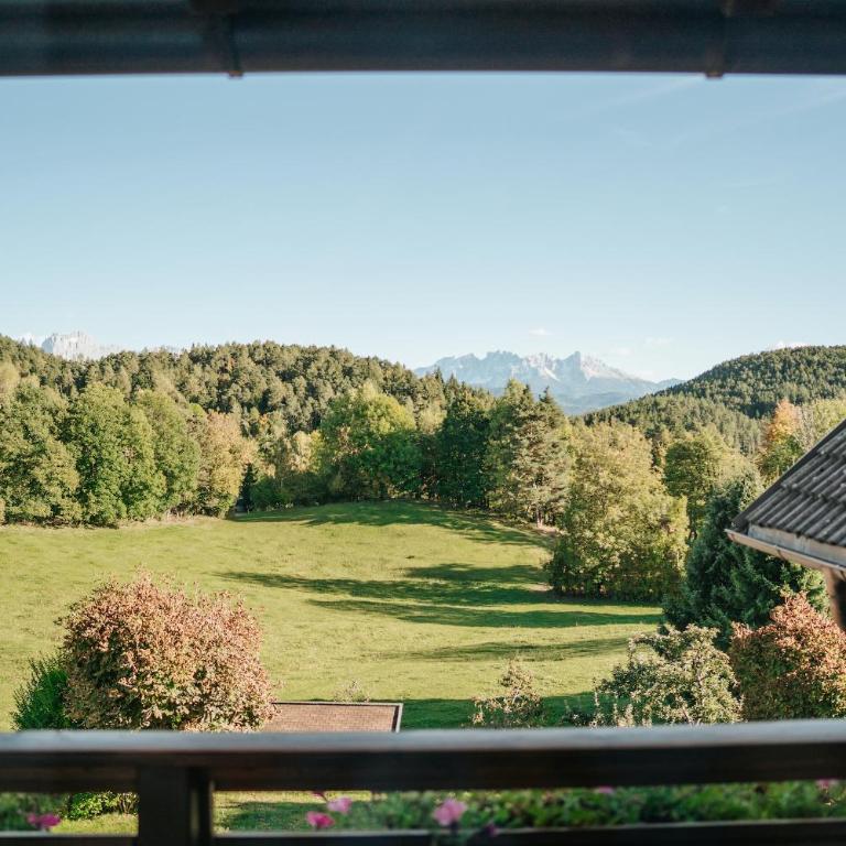 Villa Maier B&B & Apartments - Apartment with Mountain View - 2