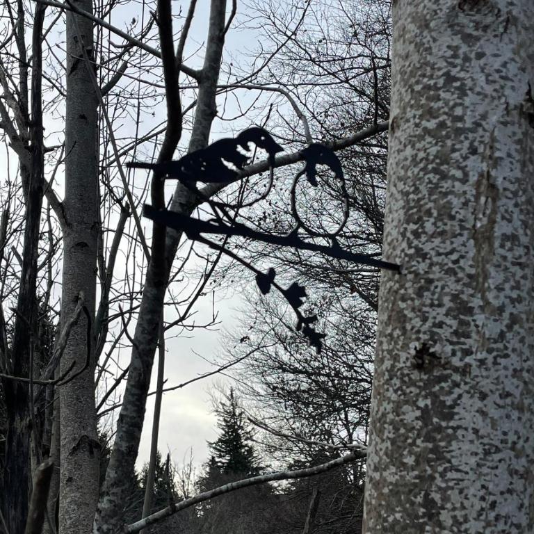 Chalet 12 personnes Mont-Dore - Chalet - 25
