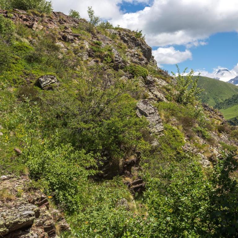 L'Eclose - Alpe d'Huez - Studio - 10