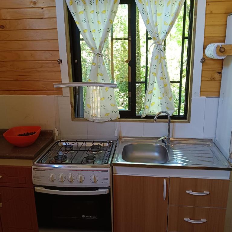 cabañas las vertientes villarrica - One-Bedroom House - 3