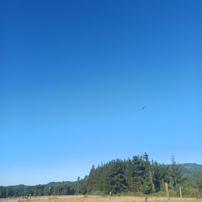 Cabaña pelluhue Refugio Arcaluz - Apartamento de 2 dormitorios - 8