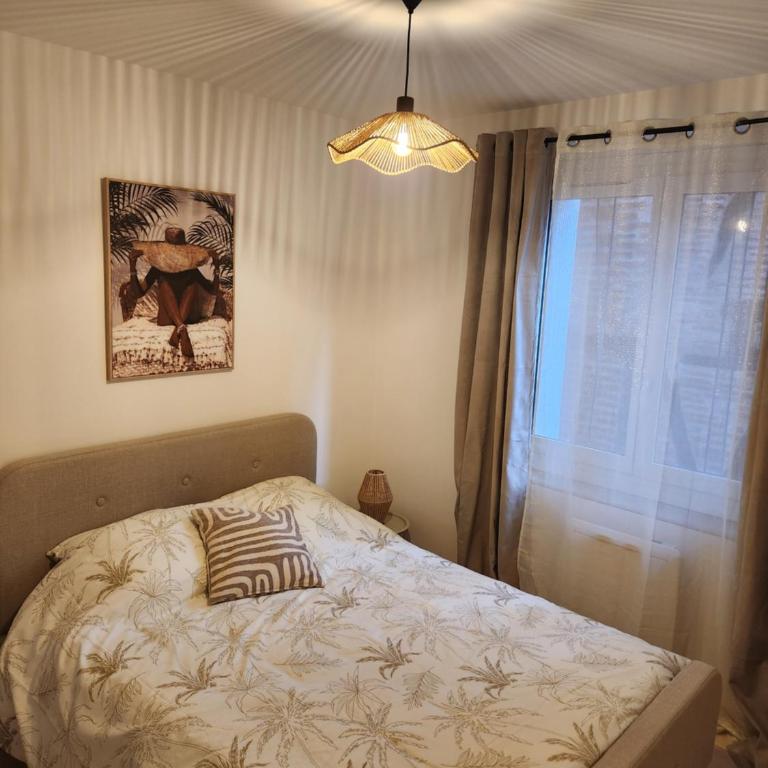 Le petit marché de Sainte Cécile- Centre historique Albi - Appartement 1 Chambre - 17