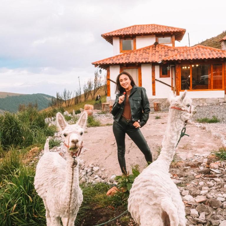 Solarium Cabaña - One-Bedroom Apartment - 3