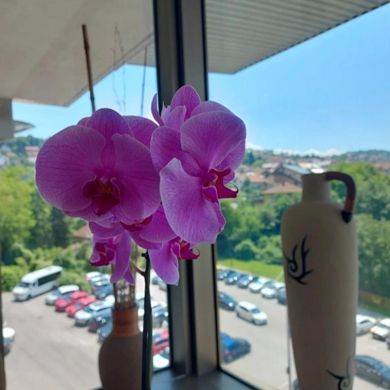 By Didi 4U2STAY - Apartman sa 1 Spavaćom Sobom - 72