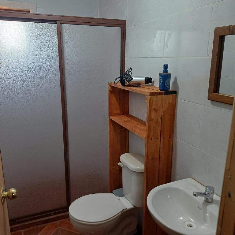 Refugio las Mariposas Chillán - Two-Bedroom Apartment - 9