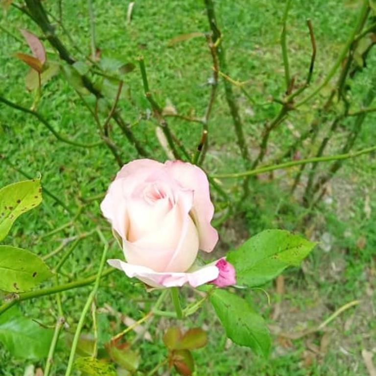 Quinta La Gloria - Casa de 2 dormitorios - 28