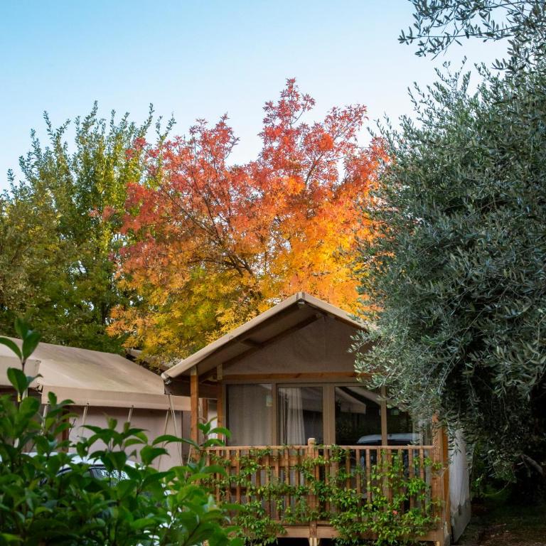 hu Firenze Camping in Town - Tenda Urban Safari con Parcheggio Gratuito - 14