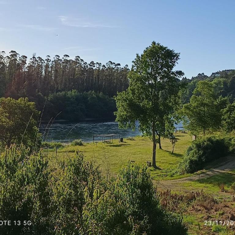 Hermosa cabaña en Los Lagos Region de los Rios - Two-Bedroom House - 23