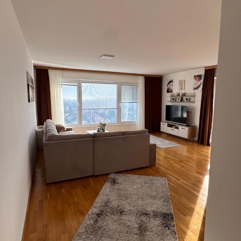 Large & Comfortable Apartment in Ilidža - Apartman sa 1 Spavaćom Sobom - 11