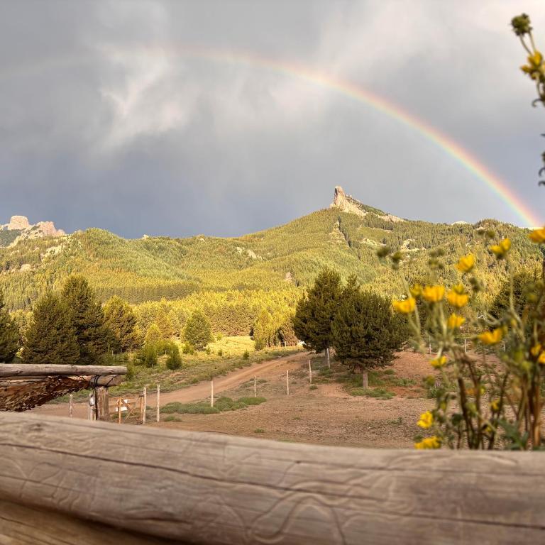 Cabaña - 5to Rincon Meliquina Home - Casa con 1 dormitorio - 35