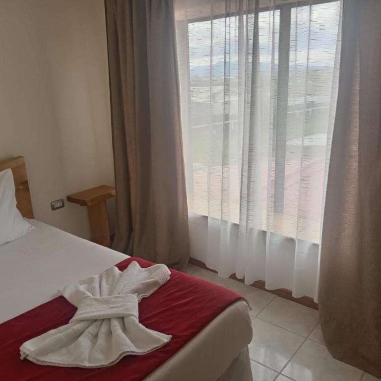 Hostal Doble E Patagonia - Single Room - 2