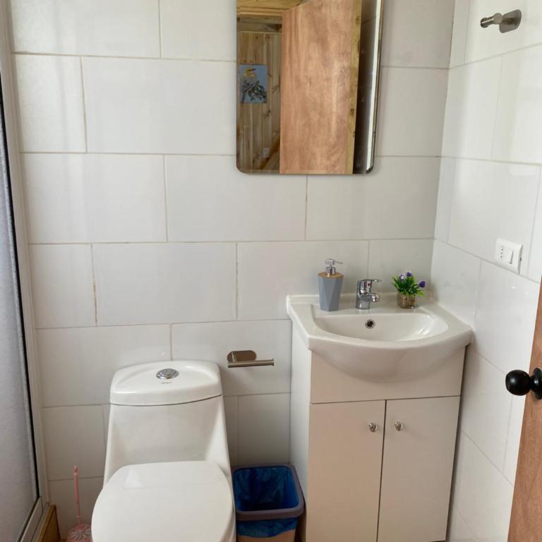 Cabañas alto de coñaripe - Two-Bedroom Apartment - 10