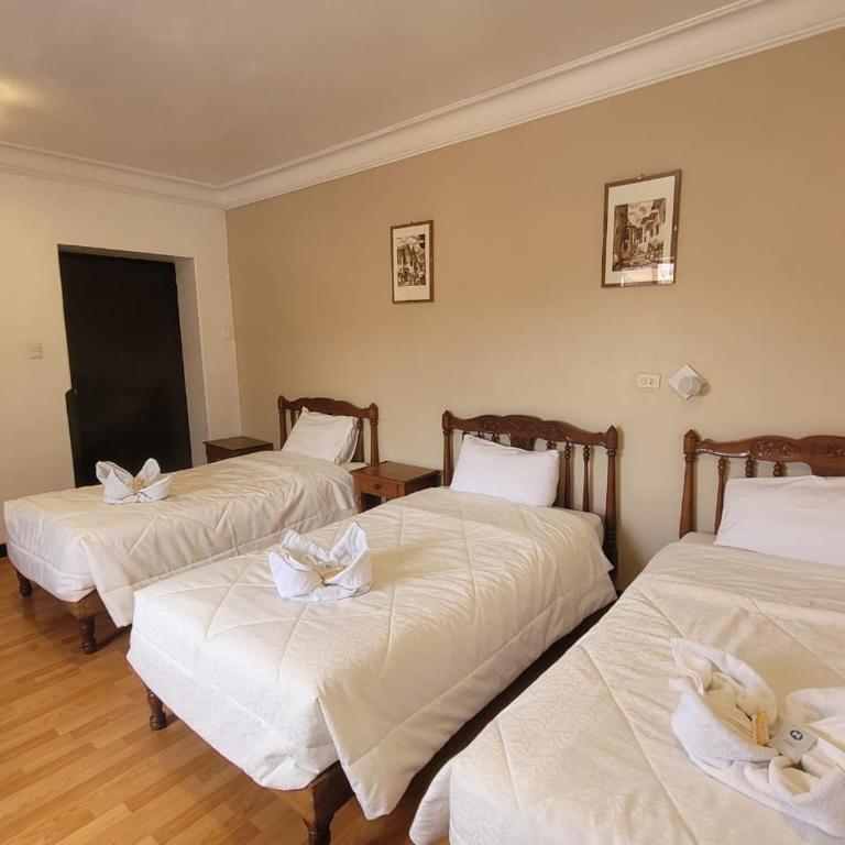 HOTEL HUAYNAPATA Pardo - Standard Triple Room - 2