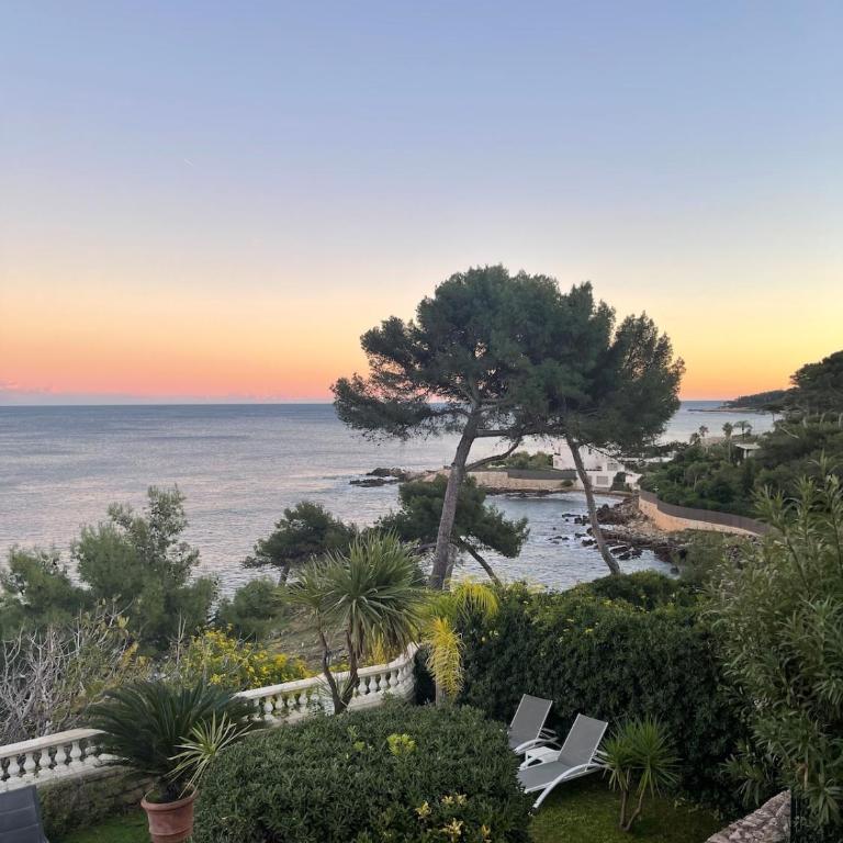 Elegant Villa in Cap d'Antibes - Appartement 2 Chambres - 19