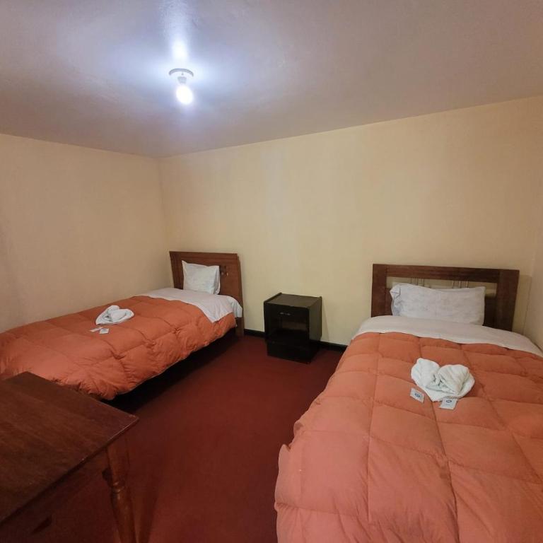 HOTEL HUAYNAPATA Pardo - Apartment - 3
