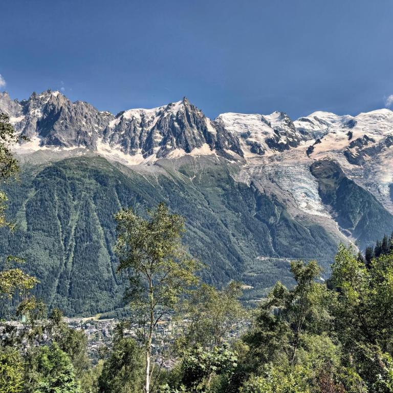 Unique luxury home in Chamonix - Appartement 1 Chambre - 20
