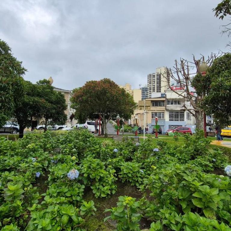 Apartamento Con Vista Hacia La Avenida Santander Y La Ciudad - Apartamento de 3 dormitorios - 13
