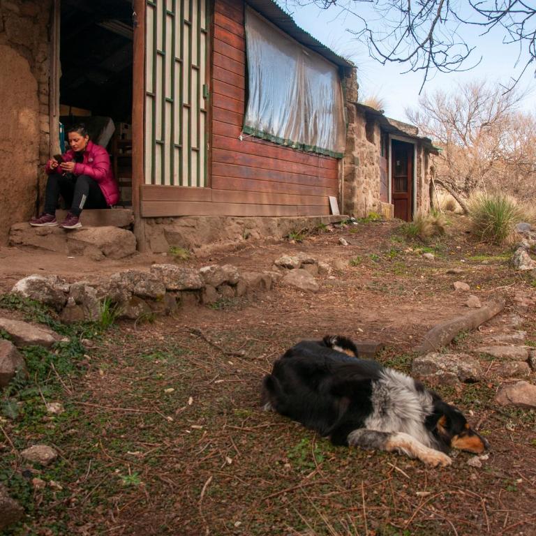 EL GIGANTILLO Refugio de Montaña - Habitación Familiar con baño compartido - 1