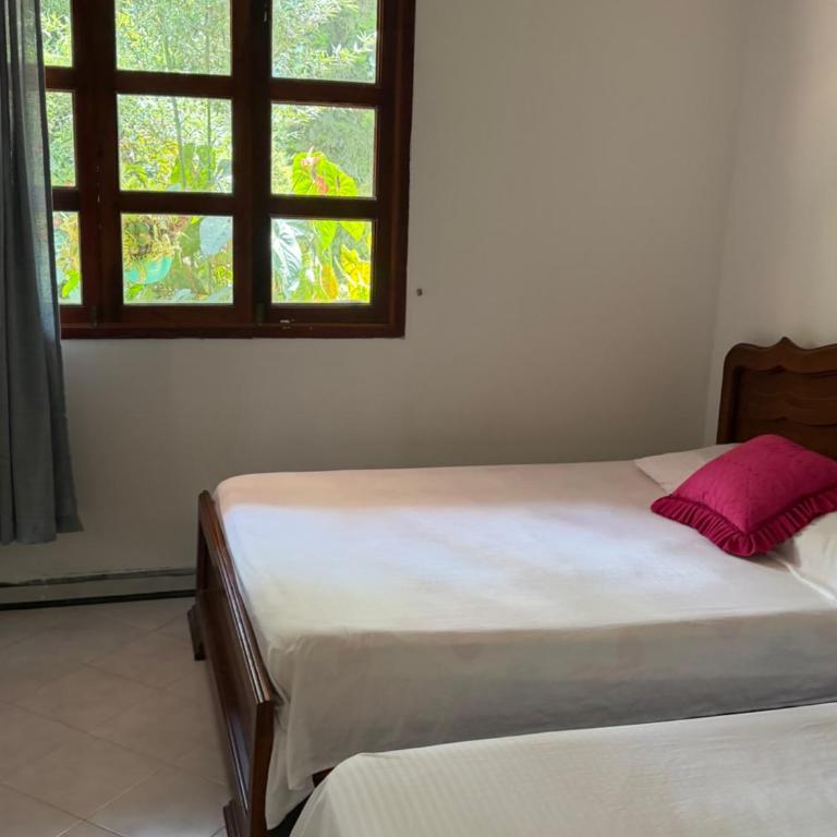 cabaña grande ecopolis hospedaje - Standard Villa - 95