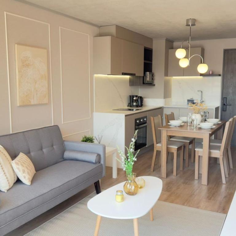 HOM I Metro Santa Isabel I Providencia I AA I 2PAX GB105 - Apartment - 39