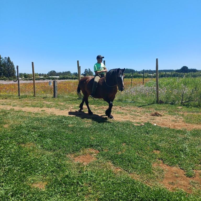 Cabaña Arcaluz - Casa - 16