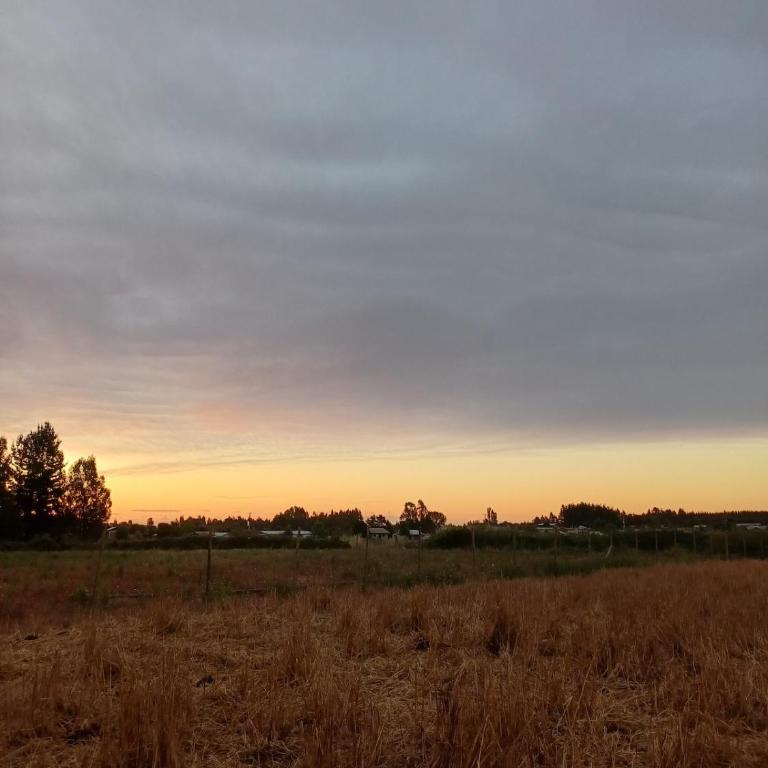 Cabaña Arcaluz - Casa - 19