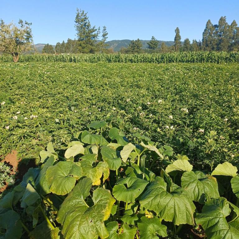 Cabaña Arcaluz - Casa - 29