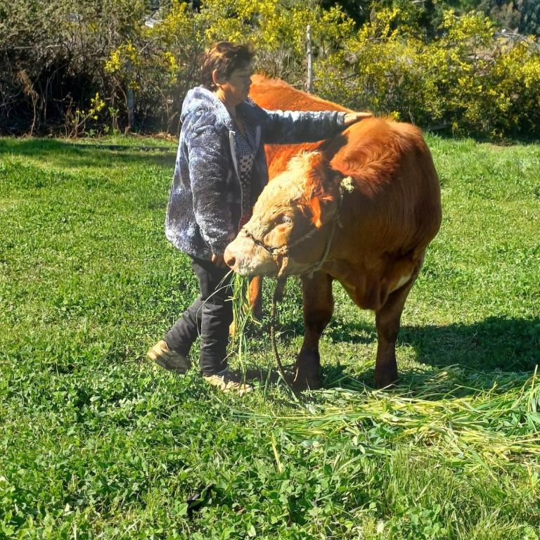 Cabaña Arcaluz - Casa - 30