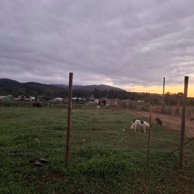 Cabaña Arcaluz - Casa - 31